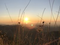 Team Sonnenuntergang oder Sonnenaufgang? 
Wir empfehlen für die ultimativen Urlaubserlebnisse im Oberallgäu beides auf Deine Liste zu schreiben. Es lohnt sich!