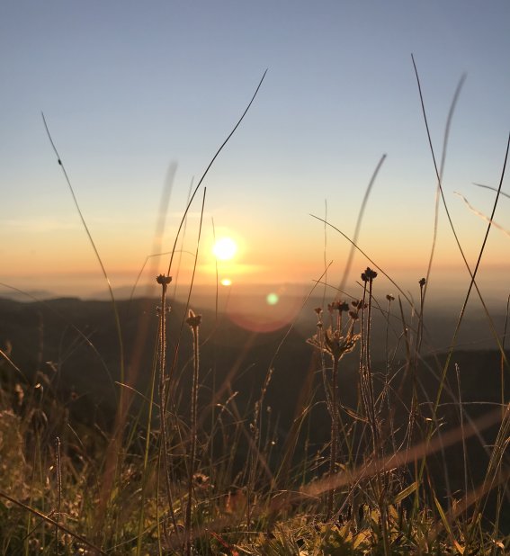 Sonnenuntergangstour aufs Rindalphorn bei Besuch im Hotel im Allgäu