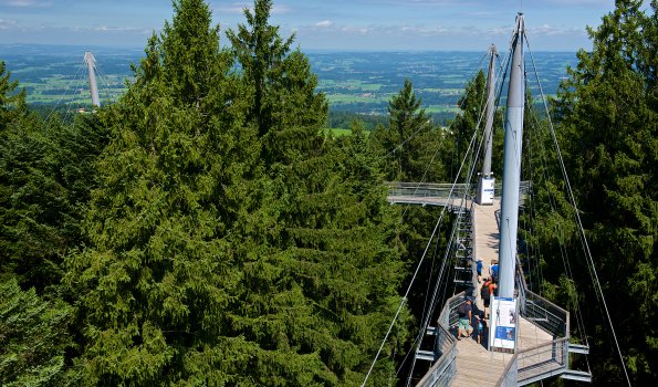 Skywalk allgäu Baumwipfelpfad (5)