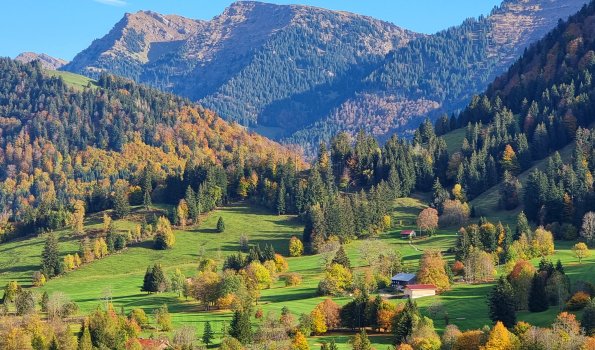 Herbstliche Stimmung in Oberstaufens Umgebung