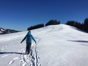 Winterwandern