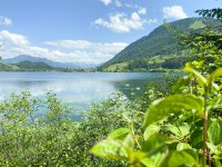 Am Großen und Kleinen Alpsee kannst Du nicht nur toll entspannen, sondern auch richtig viel  Wasseraction erleben.