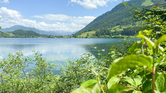 Am Großen und Kleinen Alpsee kannst Du nicht nur toll entspannen, sondern auch richtig viel  Wasseraction erleben.