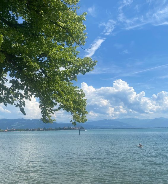 Bodensee bei Lindau