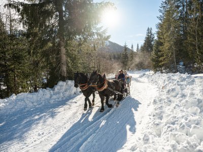 Romantische Pferdeschlittenfahrt in Balderschwang im Allgäu