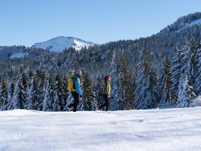 Oberstaufen-tourmismus simon-brausten DSC-00364