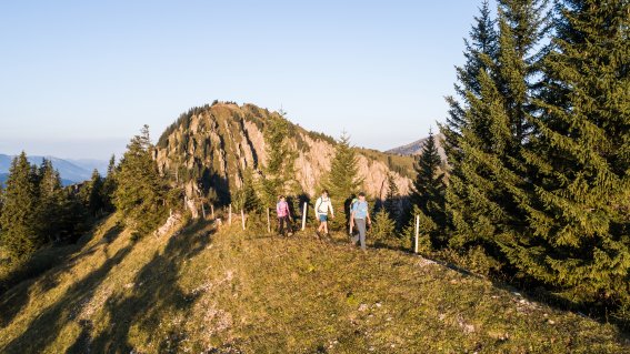 1137041 Wanderung im Naturpark in Balderschwang im Allgäu