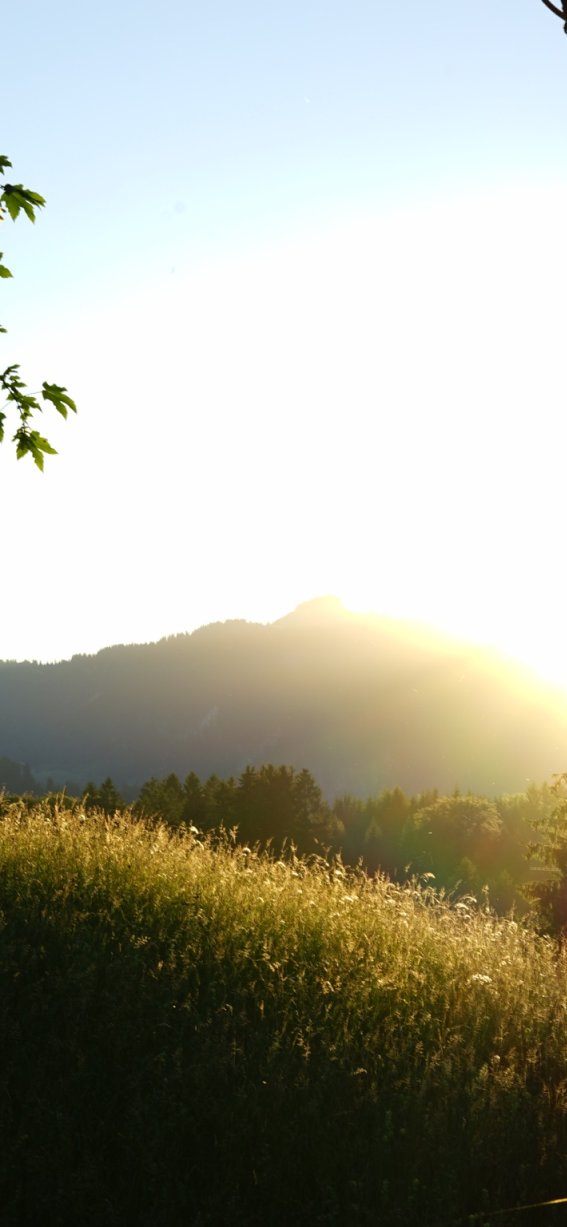 DSC07752