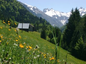 Gruben im Trettachtal