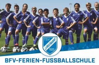Fußball-Camp Fußball-Camp
