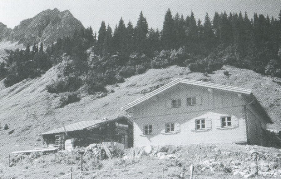 Lungenalp - Heft 38