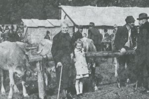 Viehscheid - Heft 36-1