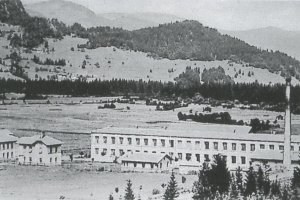 50 Jahre - Heft 42