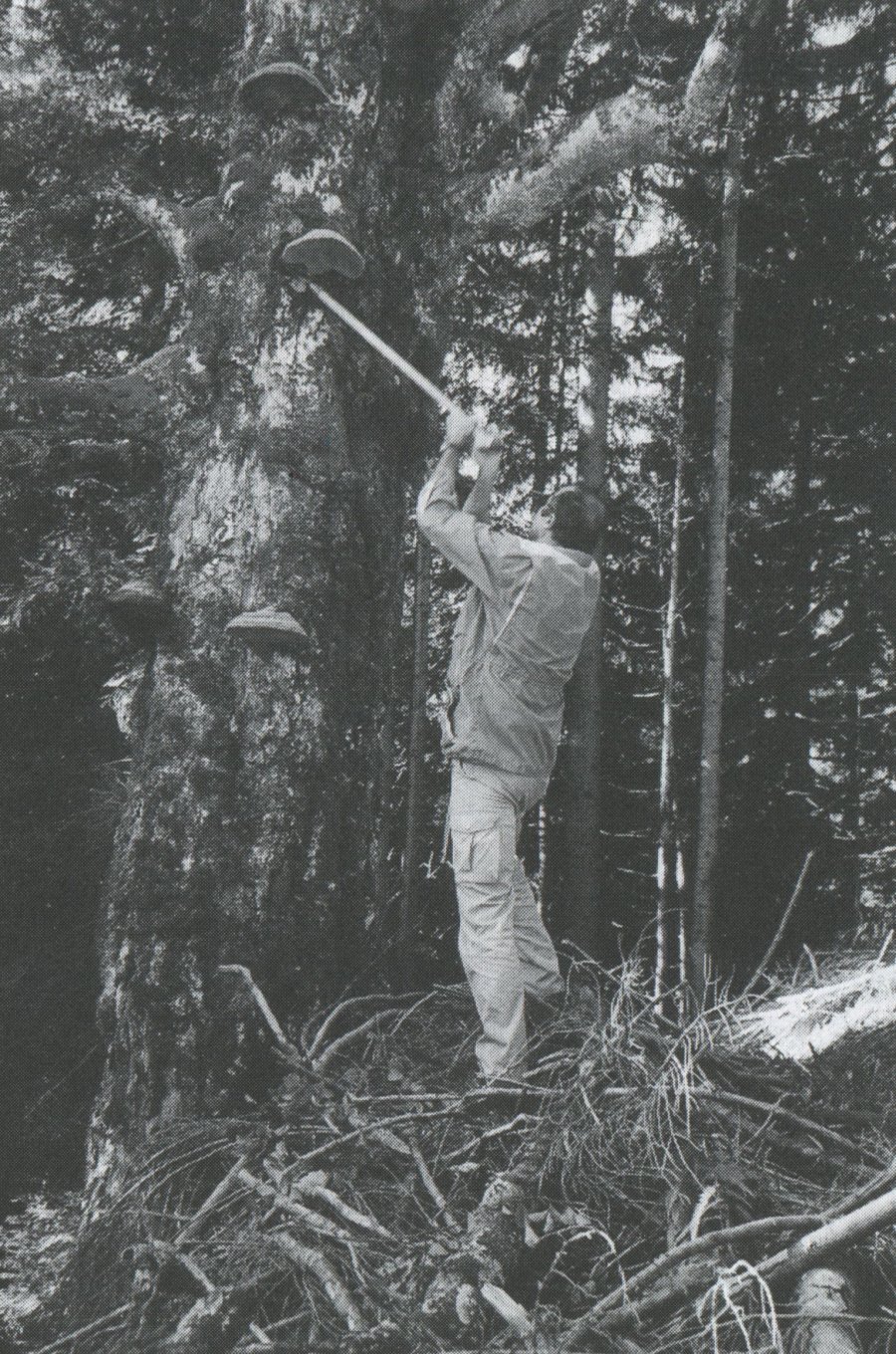 Feuerstein - Heft 45