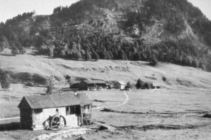 Adlergraf - Heft 52