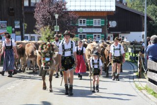 Kranzrind der Käseralpe 2011 Als Zeichen für einen unfallfreien Bergsommer wird das schönste Rind mit einem selbstgebundenen Kranz geschmückt.