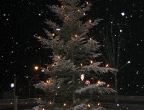 Silvesternacht