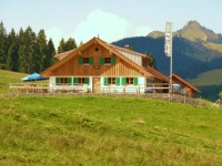 Neue Bichler Alpe mit Grünten