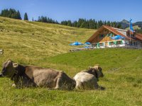 Untere Bichler Alpe