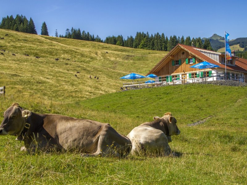 Untere Bichler Alpe