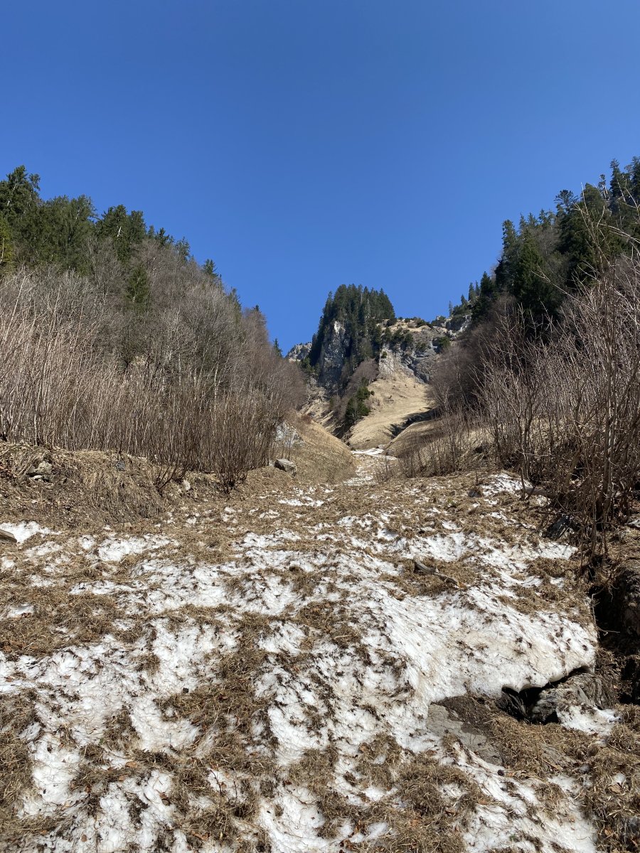 Schergenhoibat1449nw