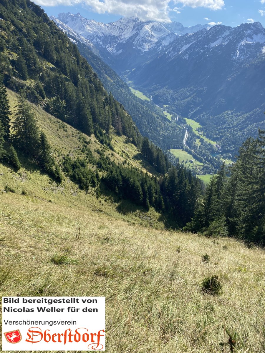 Rieffenschrofen, Foto von Nicolas Weller