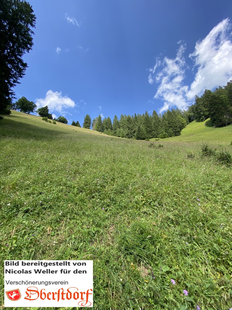 Rieffenschwand1320nw