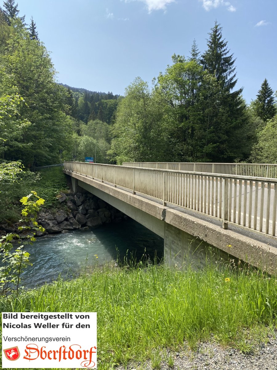 Ziegelbachbrücke1836nw