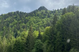 Schartenkopf1 1427nw