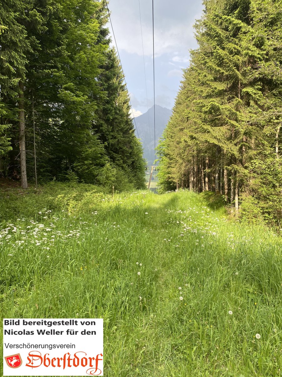 Höllen, Foto von Nicolas Weller