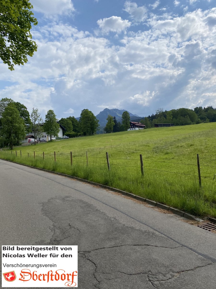 Schlechten, Foto von Nicolas Weller