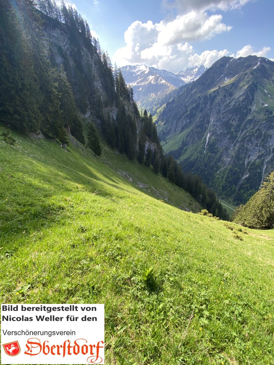 Räuchen, Foto von Nicolas Weller