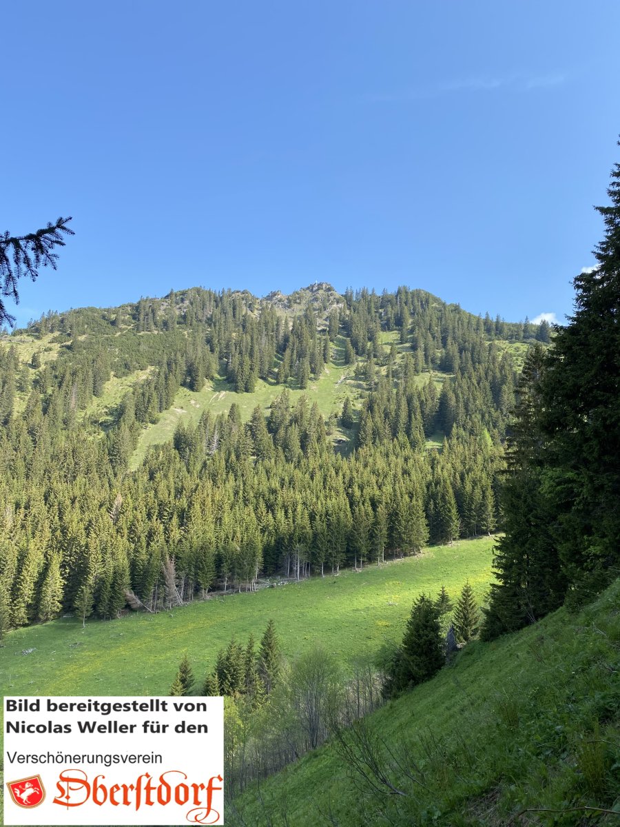 Rieffenkopf, Foto von Nicolas Weller