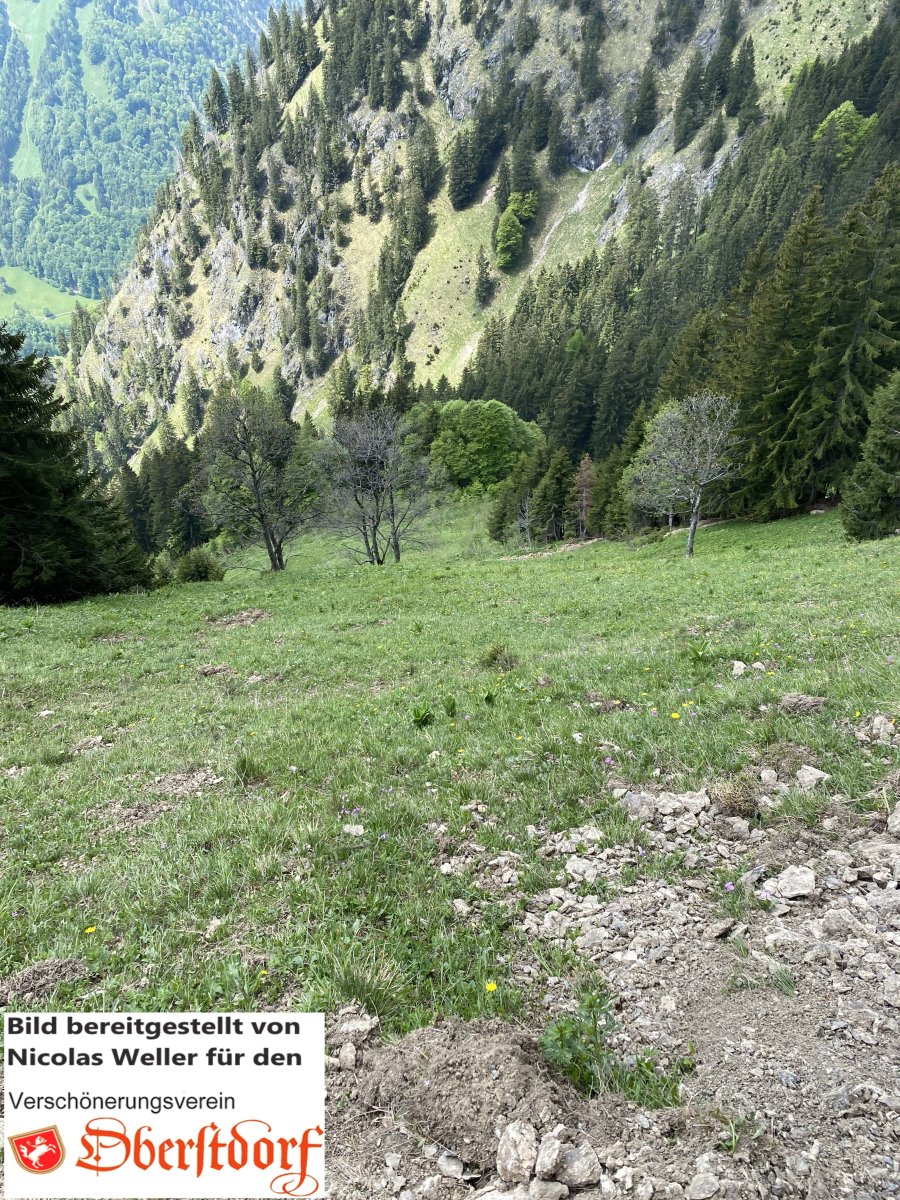 Schwanden2, Foto von Nicolas Weller