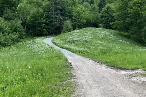 Ziegelbacher Steige1838nw