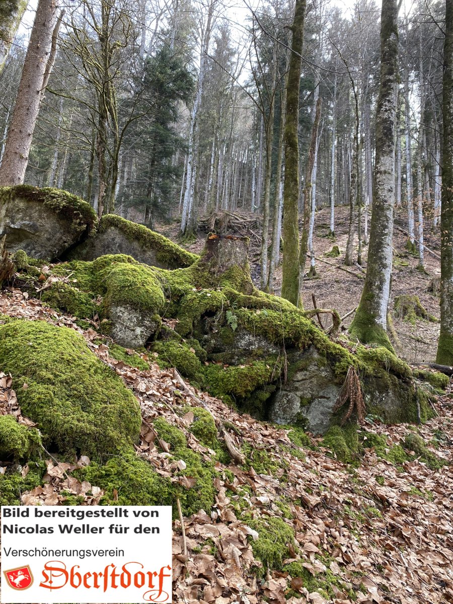 Platte2, Foto von Nicolas Weller
