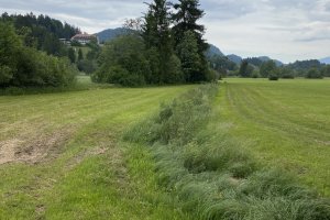 Wiberschinderlesbrunnen1796nw