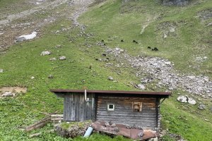 Rauhenhalsalpe1294nw