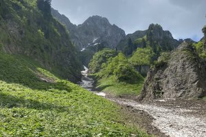 Rauhenhals Tobel1296nw