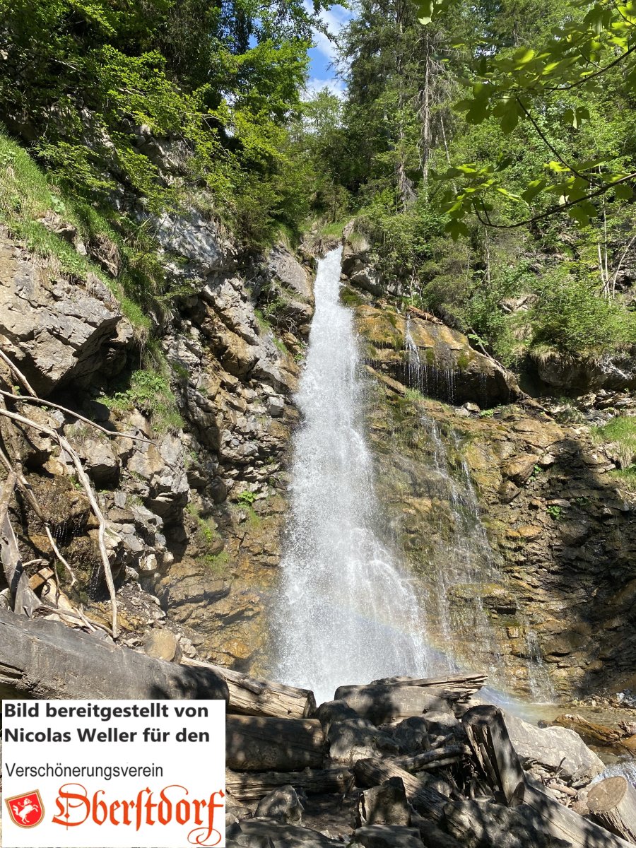 Faltenbacher Strudel450nw