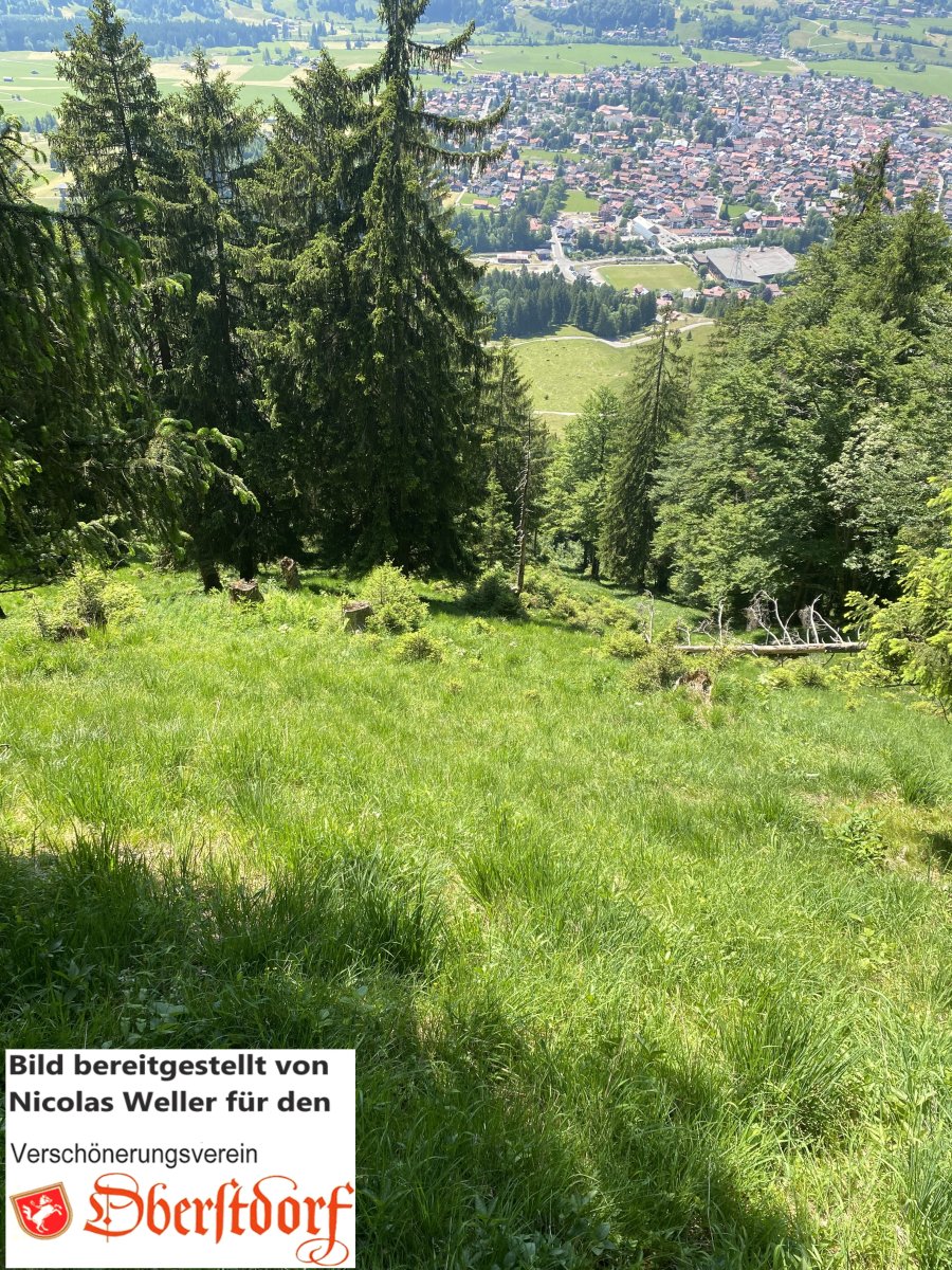 Turmwächterhoibat, Foto von Nicolas Weller