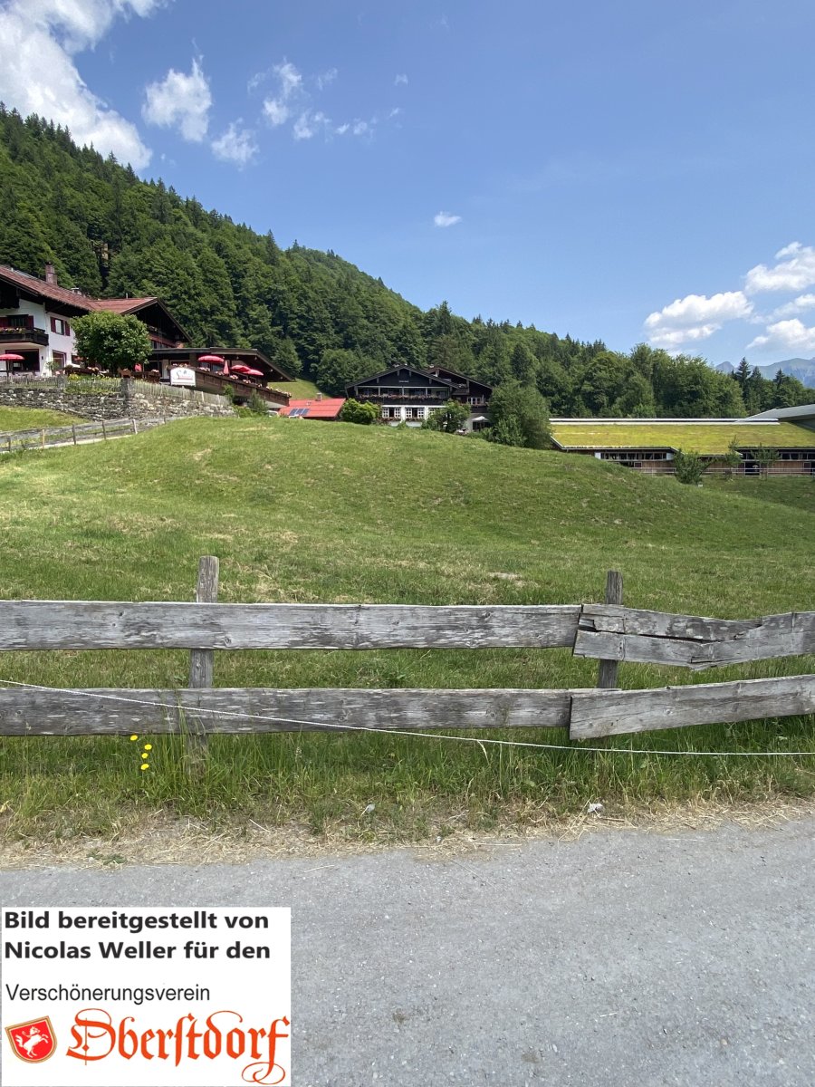 Kälberweidle1 880nw