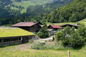 Schwand1 1543nw