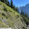 Gleitwald578nw