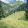 Bacher Schwand80nw