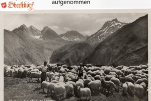 Einödsberger Egg 397nw