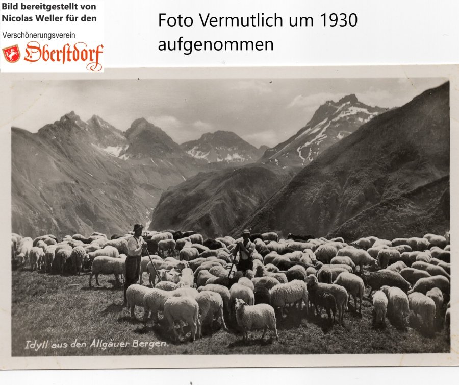 Einödsberger Egg 397nw