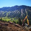 Seealpe