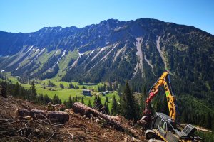Seealpe