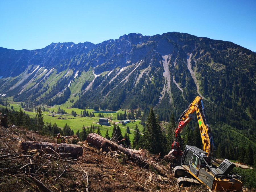 Seealpe